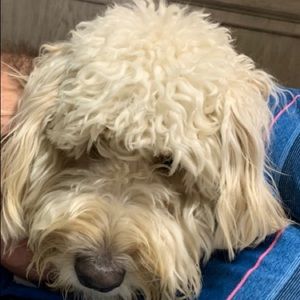 Meet your Posher, Cindy